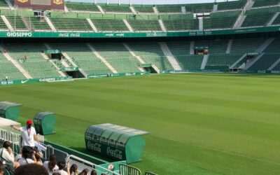 Estudiantes de trece centros educativos de Elche participan este viernes en una jornada en la que dibujarán los edificios más emblemáticos del municipio